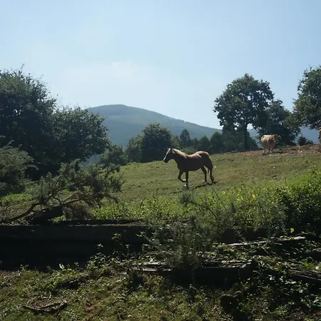 Pazo De Terrafeita