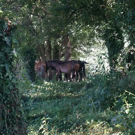 Hotel Pazo De Terrafeita Trabada