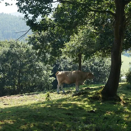 Pazo De Terrafeita 3*