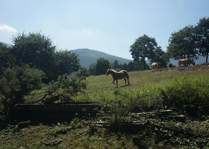 Pazo De Terrafeita