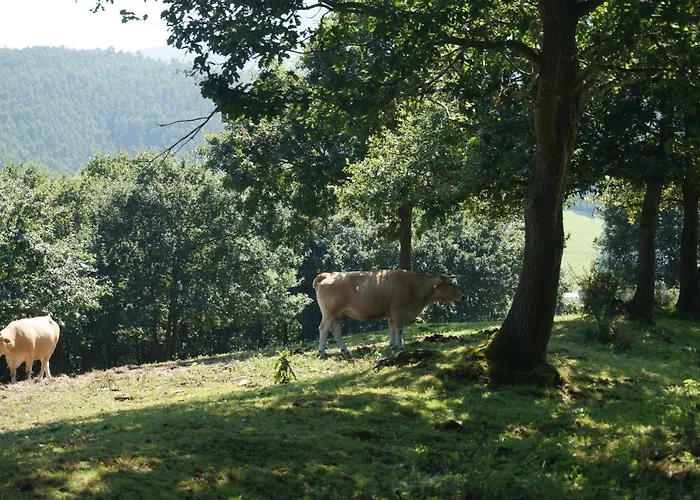 Pazo De Terrafeita 3*