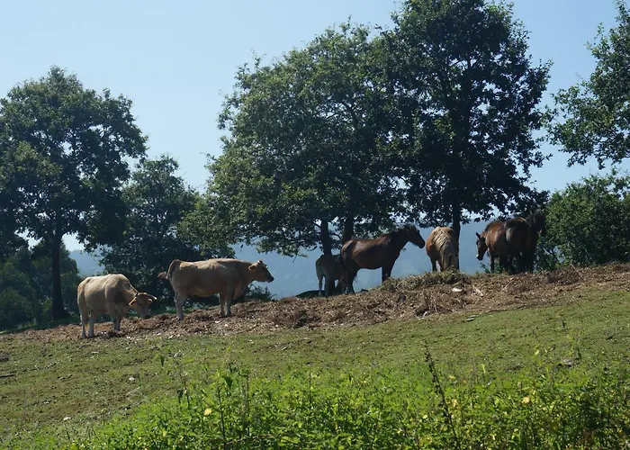 Pazo De Terrafeita מלון 3*